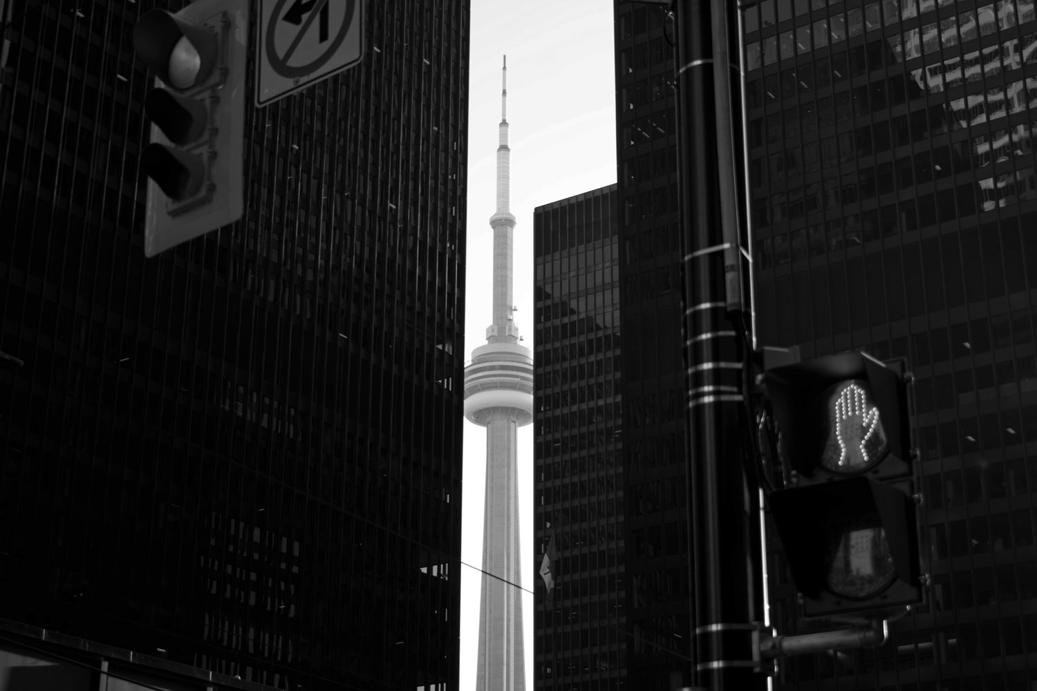 black and white image of the CN tower